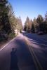 The road to Yosemite